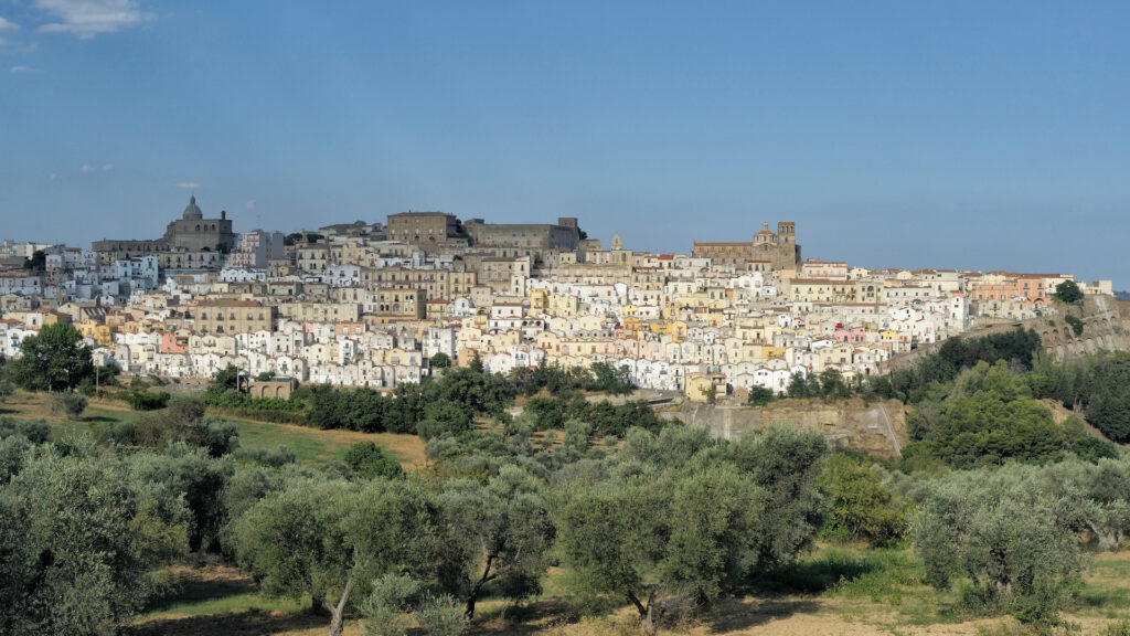 Ferrandina - Investimenti Zes - Gruppo Cestari