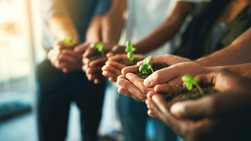 Sviluppo Energetico sostenibile